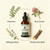Nature Secrets Lymphatic Drainage Drops, with Stillingia Root, Cleavers, Prickly Ash, Red Clover, for Lymphatic Support and Digestive Comfort, Plant-Based Herbal Extract, Alcohol-Free, Non-GMO, 60 ml