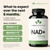 Luma Nutrition NAD+ Supplement 500mg Per Serving (250mg per Capsule) – Aging Plus Energy, Metabolism & Cellular Support – Pure NAD Supplements for Women & Men - 60 Capsules, 30 Servings