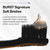 Burst Original Sonic Electric Toothbrush for Adults (Rose Gold) | Rechargeable Electric Sonic Toothbrush | Soft Bristle Deep Clean Stain & Plaque Removal | 3 Modes: Teeth Whitening/Sensitive & Massage