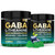 GABA Gummies 500mg Sugar-Free Calm Gummies with L Theanine, Ashwagandha, Magnesium, Vitamins D3, B6, Melatonin-Free for Calm, Mood, Zzz, GABA Supplement for Adult, Blueberry 60 Count (Pack of 2)