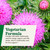 Floradix Epresat Adult Liquid Multivitamin - Herbal Supplement - Daily Supplement with Vitamin A, D, B6, Milk Thistle & More - Supports Energy & Liver Health - Vegetarian, Non-GMO - 16.9 fl oz