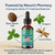 ELLORA Gut Cleanse Liquid Drops – 11 Natural Ingredients Including Black Walnut Hull, Oregano & Licorice Root – Supports Digestive Balance, Gentle Cleanse & Immune Support (2)
