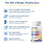 Ficpoud Neurobella Eye Formula, 16-in-1 Eye Vitamins and Mineral Supplement with Lutein 20mg, Zeaxanthin 4mg & Meso-Zeaxanthin 10mg, Astaxanthin, Omega 3, Bilberry & Saffron, Eye Health, 60 Capsules