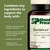 Standard Process Cataplex D - Supports Immune Function, Bone Density & Mineral Absorption - Immune Health Supplement with Vitamins A & D - Gluten-Free, Non-Dairy & Non-Soy - 360 Tablets