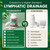 Lymphatic Drainage Capsules Natural Herbal Supplement for Immune Health & Fluid Balance, with Echinacea, Dandelion, and Burdock 60 Capsules
