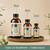 Wise Woman Herbals Licorice Root Solid Extract 4:1, Alcohol-Free, Herbal Digestive & Stomach Comfort, Adrenal Balance, Immune & Respiratory Support, Supports a Healthy Inflammatory Response, 8 Fl Oz