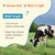 Sandhu's Grass Fed Bovine Colostrum Powder for Humans, Adults | 30 Servings (Pack of 1) Cows Supplement | High IgG for Gut Health | Immunity & Muscle Recovery Support | Unflavored | for Men & Women