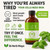 26 Herb Dr. Sebi Maya Formula | Iron-Rich Herbal Blend | Supports Fasting & Wellness | Supports Colon Cleanse & Full Body Detox | Made with Wildcrafted Ingredients in Honduras
