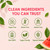 Clean Prebiotic Fiber Gummies for Men, Watermelon Flavor, Sugar-Free Pre+Probiotic Fiber Gummies, Supports Complete Clean, Digestive & Gut Health, Gluten Free, Gelatin Free, 60 Count