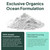 Organics Ocean Krealyte Fusion - Instantized Creatine Monohydrate Powder with Electrolytes - Muscle Strength, Endurance & Hydration Support - Vegan, Sugar-Free, Pink Lemonade Flavor - 60 Servings
