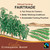 CinnaGold™ Organic Ceylon Cinnamon Liquid Extract Supplement - 4 oz