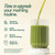 Fiber and Greens Powder - Gut & Superfood Blend, Greens Superfood Powder with 8g Fiber, Prebiotics, Probiotics & Natural Caffeine, Gluten Free, Sugar Free, Vegan, 15 Servings