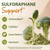 Cenffitio Sulforaphane Supplement from Broccoli Sprouts | NRF2 Activation, Antioxidant & Detox Support | Broccoli Sprout Powder for Myrosinase and Glucoraphanin | Vegan, High Absorption | 60 Servings