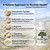 Bladder Health & Pelvic Discomfort* - Natural Lining Support* -120 Capsules - Made in The USA