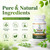 Organic Moringa Capsules 800mg for Energy, Immune Support, Gut Health & Powerful Green Superfood, Rich In Antioxidants, Essential Vitamins & Amino Acids, Non-GMO & Gluten Free (360 Count Pack of 3)