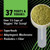 GNC AMP Amplified Greens Superfoods Performance Blend - Vegan Athlete Superfood Drink - Blueberry Pomegranate - 9.9 Oz (30 Servings)
