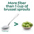 Benefiber Daily Prebiotic GLP-1 Friendly Fiber Supplement Powder for Digestive Health, Unflavored - 250 Teaspoons (17.6 Ounces)