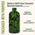 Banyan Botanicals Mint Daily Swish – Organic Ayurvedic Pulling Oil with Coconut Oil – Mouthwash for Fresh Breath and Sparkling Oral Health* – 24 oz – Non GMO Sustainably Sourced Vegan