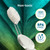 RADIUS Big Brush with Replaceable Head BPA Free & ADA Accepted Toothbrush Designed to Improve Gum Health & Reduce Gum Issues - Right Hand - Assorted - Pack of 6