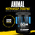 Animal Creatine Monohydrate Powder - Micronized Creatine for Women and Men, Supports Muscle Growth, Strength, Endurance, Recovery and ATP Production, Gym & Workout Supplements - Unflavored, 500g