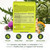 NEW NORDIC Active Liver Daily Support Supplement 30-Day Supply - 30 Tablets
