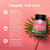 Saw Palmetto for Women 500mg - DHT Blocker for Women 30-Day Supply - Hair Vitamins for Hair Loss Supplement - Saw Palmetto Extract Capsules with Maca Root & Biotin - 90 Count