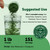 Organic Spirulina Powder, 1lb | Blue-Green Algae, Naturally Occurring Vegan Protein, Vitamins & Minerals | Source of Natural Chlorophyll & Enzymes | Non-GMO, Gluten-Free, No Additives