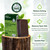 Marie Originals Poison Ivy Soap Bar | All Natural Poison Ivy Treatment | Anti-Itch Skin Cleanser Bar Wash for Poison Ivy, Poison Oak & Sumac | Soothes & Relieves Rashes | 2.9 Ounces (6 bars)