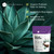 Kate Naturals Inulin Powder Organic from Blue Agave (1.5lb) Soluble Prebiotic Fiber for Coffee, Yogurt & Smoothies