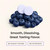 EZ Melts Zinc - Supplement for Immune, Digestive & Skin Health Support - Non-GMO, Vegan & Gluten-Free - Blueberry Blast - 60 Dissolvable Tablets (60 Servings)