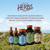 Herbs Etc. Deep Sleep Softgels - Holistic Bedtime Supplement for Calming Sleep Aid - Chamomile, Lemon Balm Extract & Passionflower - Melatonin-Free, Gluten-Free & Organic - 30 Count (30 Servings)