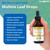 LIQUIDHEALTH USDA Organic Mullein Leaf Extract Drops for Lungs - Herbal Cleansing Drops for Smokers, Immune Support, Respiratory Health - 1000mg, Sugar-Free, Vegan, Made in USA (3 Pack)