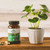 ORGANIC INDIA Liver and Kidney Cleanse Detox Repair - Herbal Supplement - Detoxify & Rejuvenate, Supports Healthy Liver & Kidney Function, Vegan, USDA Certified Organic, Non-GMO - 90 Capsules