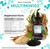 Clean Nutra Organic Sea Moss Drops Supplement | Black Seed Oil Irish Seamoss Ashwagandha Burdock Root & Bladderwrack - Multimineral Liquid Vegan for Gut Heath Energy Skin Immune Support & Hair