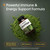 NatureBell Moringa 800mg Per Serving - 240 Capsules - Organic Moringa for Daily Immune, Energy & Skin Health Support* - Green Superfood - 3rd Party Tested, Non-GMO & Gluten-Free
