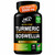 Turmeric Boswellia Extract Supplement 2000 mg – Extra Strength Boswellia Serrata with Turmeric Curcumin - 95% Curcuminoids with Boswellia Extract Capsules - Standardized High Potency - Made in USA