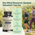 VINATURA Velositol Supplements - Protein Synthesis Enhancer for Strength and Muscle Support, for Men and Women, 90 Capsules