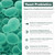Organic Saccharomyces Boulardii - 10 Billion CFU - Clinically Validated CNCM I-1079 Probiotic Strain - Gut, Digestion & Healthy Bowel Support - First Organic Form of S. Boulardii Probiotic - 60 Count