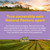 Stress-Relax Tranquil Sleep by Natural Factors, Sleep Aid with Suntheanine L-Theanine, 5-HTP, Melatonin, 90 Softgels