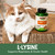 Now Pet Health,L-Lysine Supplement,Powder,Formulated for Cats,NASC Certified,8-Ounce,(Pack of 2)