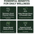 Salvora Organic Rhodiola Rosea, Rhodiola Rosea Supplement,Non-GMO,60 Capsules (1PCS)