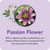 Botanic Choice Passion Flower Liquid Extract - Alcohol-Free Herbal Supplement, Traditional Support for Relaxation - 1 Fl. Oz 2 Pack