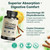 VINATURA Dihydroberberine Supplement with Ceylon Cinnamon, 500mg - (Patented GlucoVantage Super Berberine), Maybe Berberine 5X More absorbable - 30 Capsules