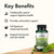 Swanson Spearmint Leaf Full Spectrum Digestive Supplement for Digestive-Comfort-Seeking Adults - 400 mg Mentha Spicata (60 Capsules, 2 Pack)