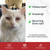 L-Lysine for Cats and Kittens, 900 mg Powder