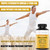 NovaGold Omega 3 Fish Oil – 2000mg High Strength EPA DHA Supplement – Burpless, Easy to Swallow Softgels – Supports Heart, Brain, Joints, Immune & Skin – Non-GMO – 120 Liquid Capsules