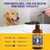 Special Breed Liquid Vitamin B12 for Dogs – Methylcobalamin and 5-MTHF – Boosts Energy, Appetite, Mood & Immune System Support, Easy-to-Use Dropper - Chicken Flavor, 4 fl oz
