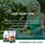Host Defense MycoBotanicals Liver* Capsules - Liver Health Supplement with Milk Thistle & Turmeric Root - Mushroom Supplement with Turkey Tail, Reishi & Chaga - 60 Capsules (30 Servings)*