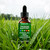 Kindled Thyroid Support Drops | Selenium Zinc Iodine L-Tyrosine Ashwagandha Liquid Drops, Thyroid Bloom | Body Balance & Support - 4 FL.OZ (1)