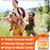 NEW AGE Vitamin C Gummies Orange Vitamin C Gummy - Supports Healthy Immune System - Vegetarian Without Gluten (60 Gummies)